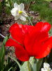 IMG_20150416_121853