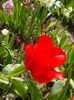 IMG_20150416_121917