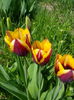 IMG_20150416_121745