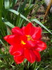 IMG_20150416_121733