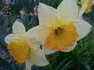 IMG_20150417_192906