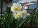 DSCN4211