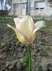 DSCN4220