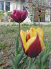 DSCN4224