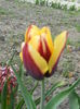 DSCN4225