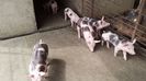 20150417_145511