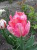 20150418_085843