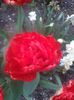 20150418_153917