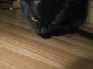 DSCF9245