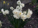 Cheerfulness