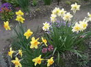 IMG_20150418_163432