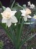 IMG_20150418_163505