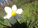 DSCF3622