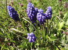 DSCF3630