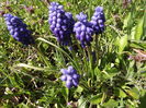 DSCF3629