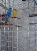 IMG_20150408_170525