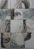 SAM_4542