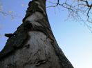 IMG_0014