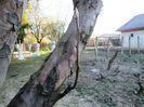 IMG_0019