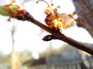 IMG_0030