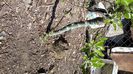 20150412_145252