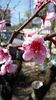 20150412_145514