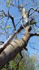 20150412_145944