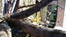20150412_145957