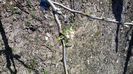 20150412_150133