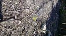 20150412_150233