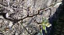 20150412_150301