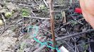 20150412_150850