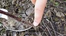 20150412_150927