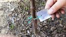 20150412_150950