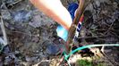 20150412_151054