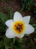 IMG_20150417_112057