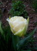 IMG_20150417_112656