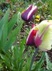 IMG_20150419_130916