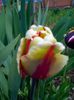IMG_20150419_130934