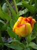IMG_20150419_145622