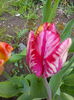 IMG_20150419_145651