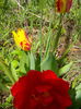 IMG_20150419_145855