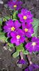 20150419_171546
