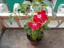 DSCN5369