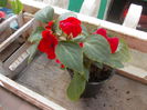 DSCN5375