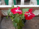 DSCN5376