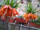 20150416_141354