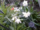 20150416_141331