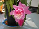 20150414_160938