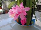 20150414_161005